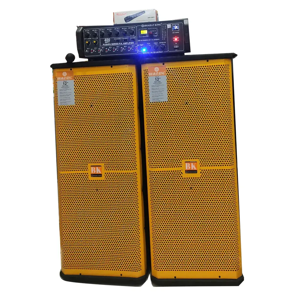 D/12 COLUMN PAIR & AMPLIFIER 400 W