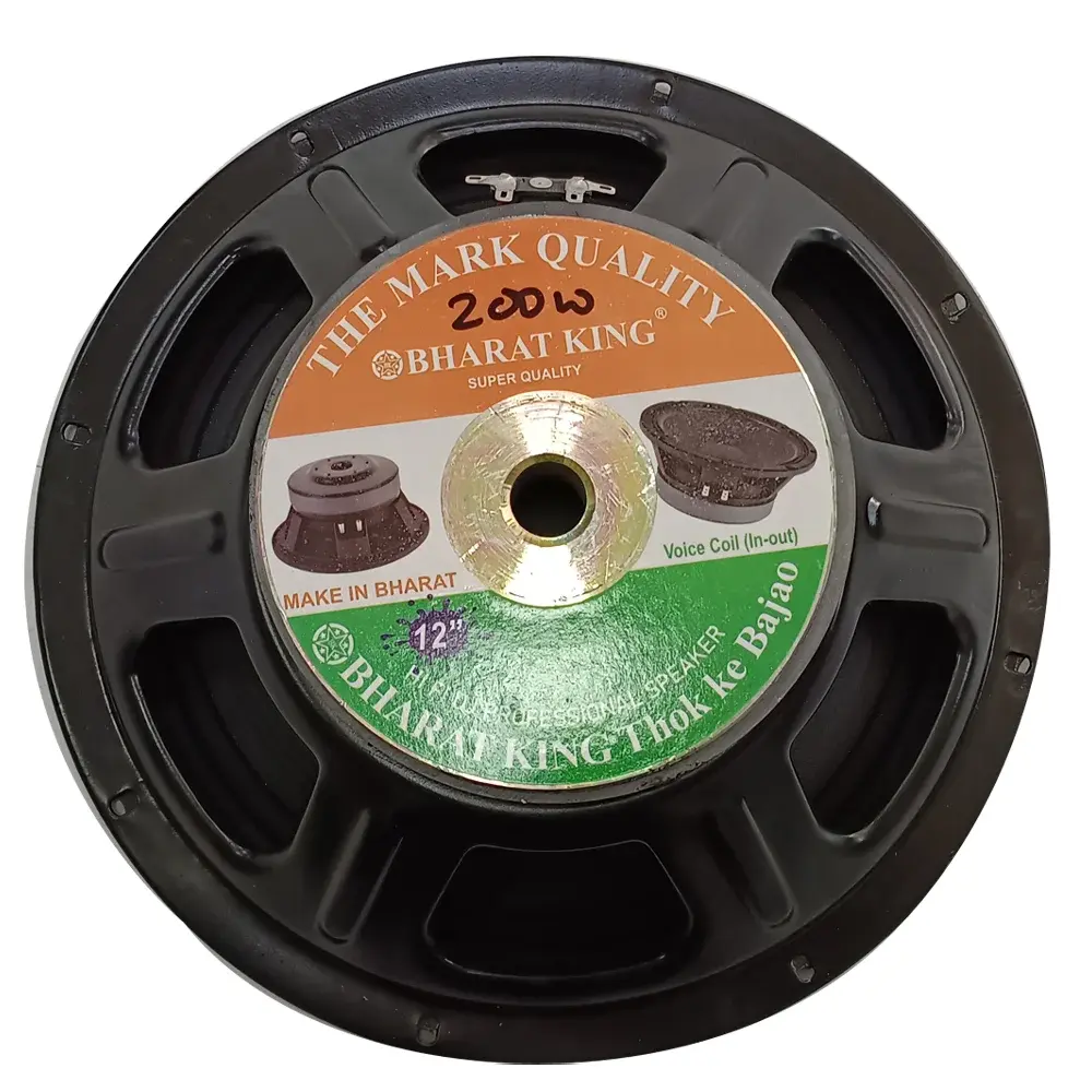 12 INCH , 200 W SPEAKER