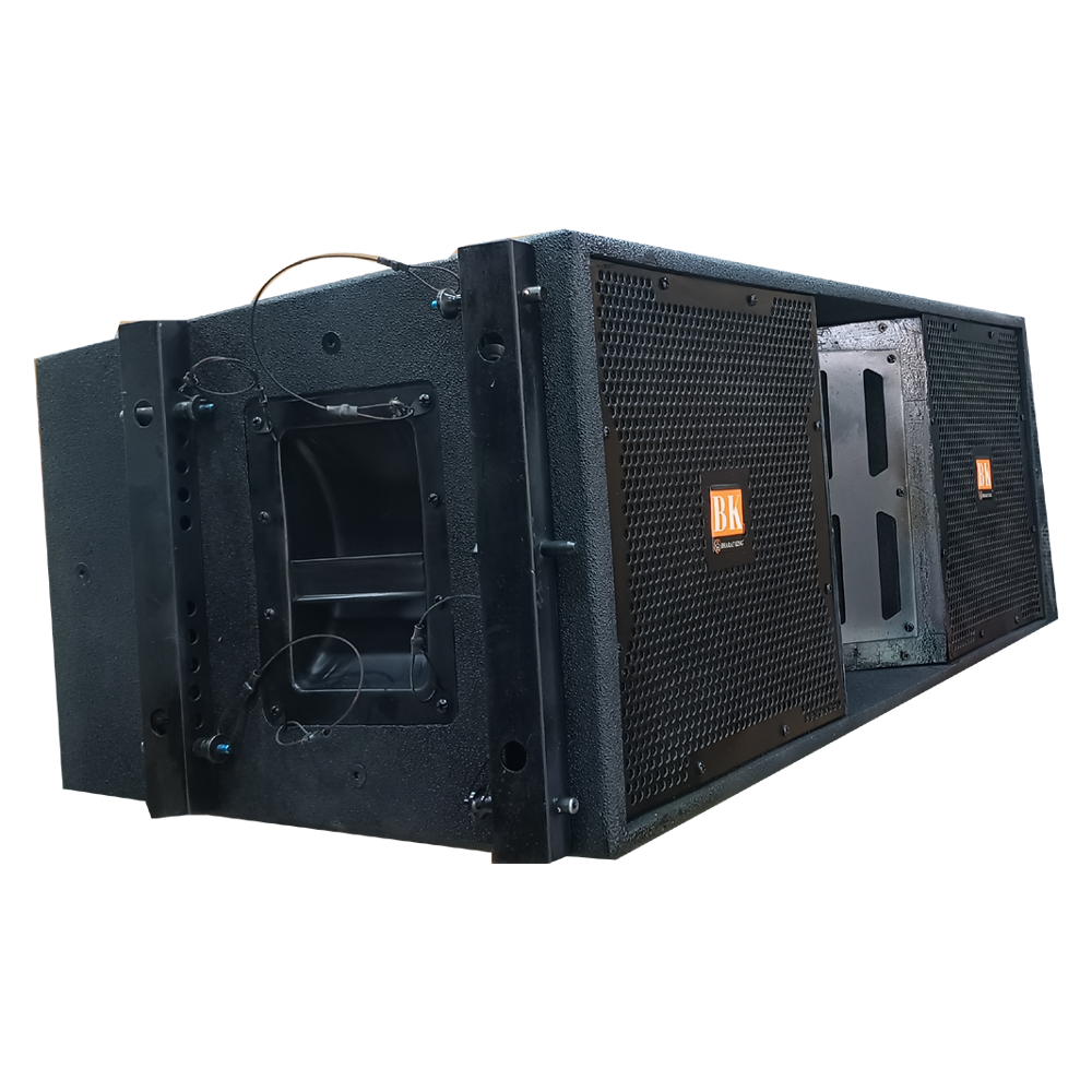 DUAL 12 INCH LINE ARRAY