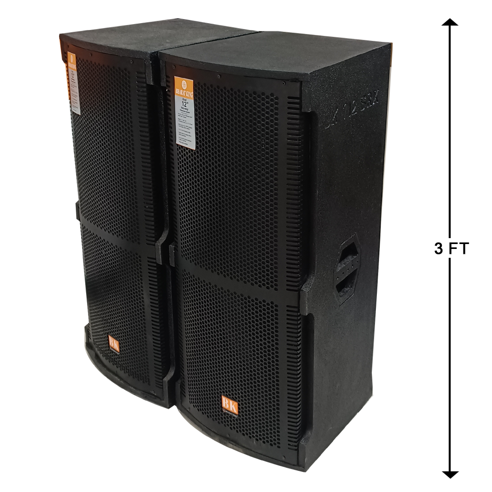 2 TOP , D/12 INCH (200 W +200 W)
