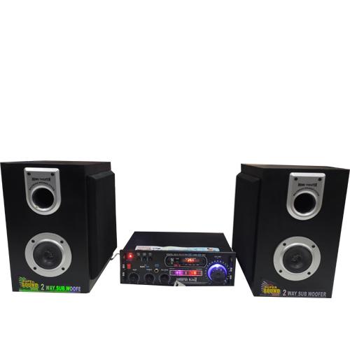 CHAMELI (8 INCH COLUMN & 4 TRANSISTOR AMPLIFIER)