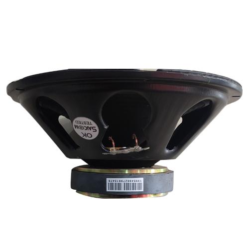 10 INCH SPEAKER