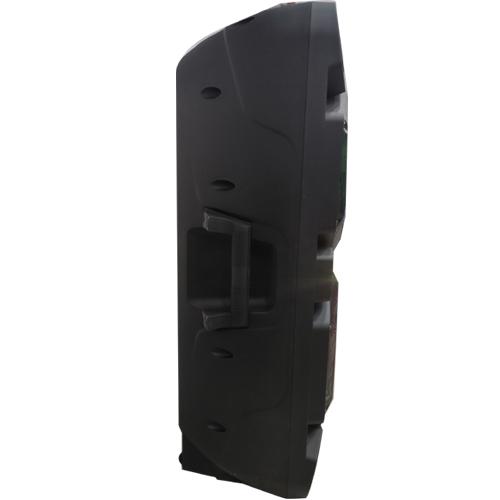 CUBE 12 INCH DOUBLE SPEAKER