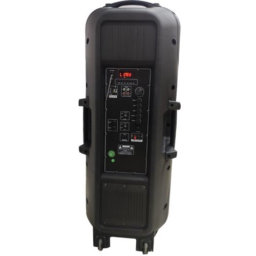 CUBE 12 INCH DOUBLE SPEAKER