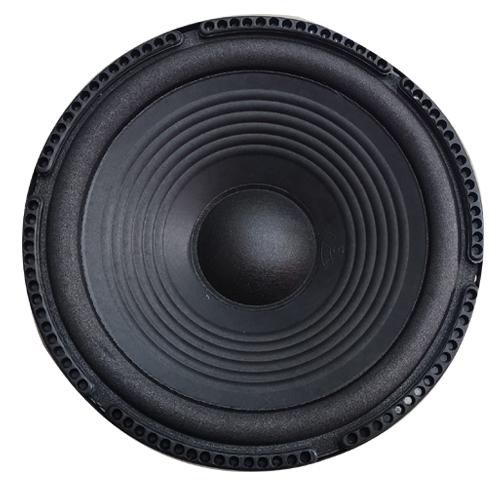 10 INCH SPEAKER