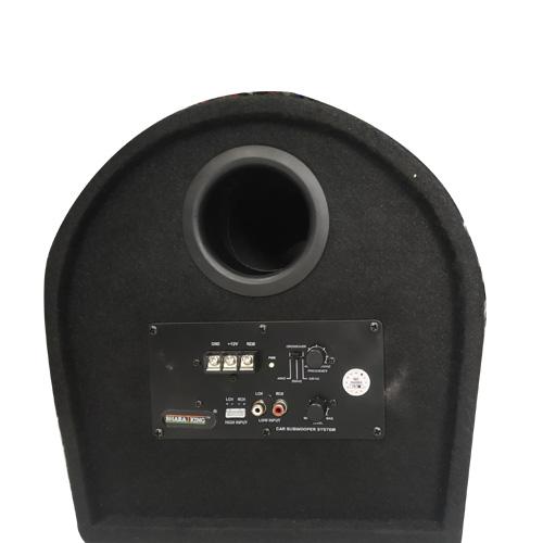 BASS TUBE 10 INCH ( INBUILT AMP )