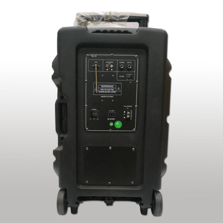 CUBE 15 INCH SPEAKER WITH DOUBLE WIRELESS MIC