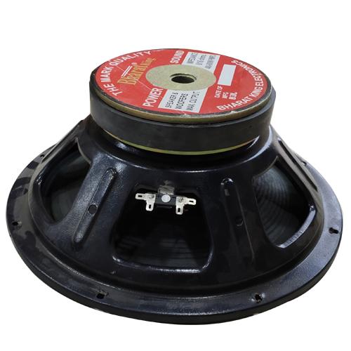 12 INCH SPEAKER ( 200 WATT)