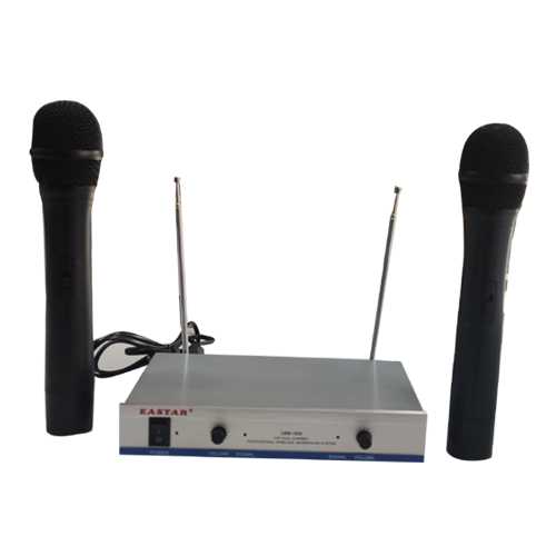 DOUBLE WIRELESS MIC