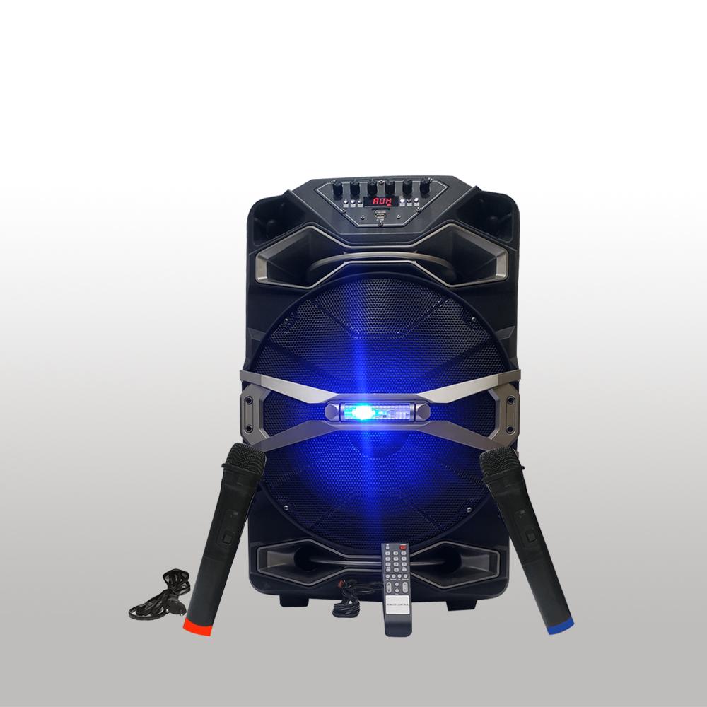 CUBE 12 INCH SINGLE SPEAKER WITH DOUBLE WIRELESS MIC