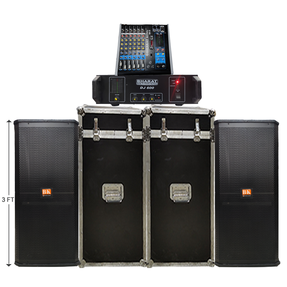 DOUBLE 12 INCH COLUMN PAIR WITH PETI ,AMPLIFIER DJ 600 , MIXER