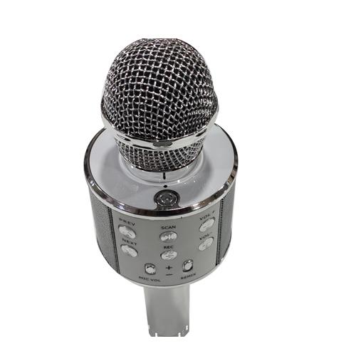 MIC WITH SPEAKER & ECO