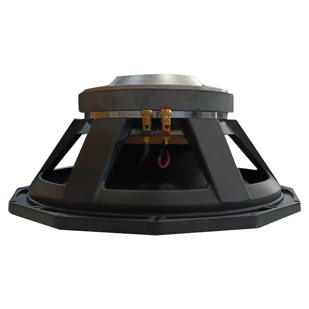 15 INCH , 1000 W IN HEAVY KIT