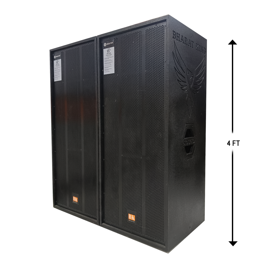 2 TOP , D/15INCH ( 500 W + 500 W )