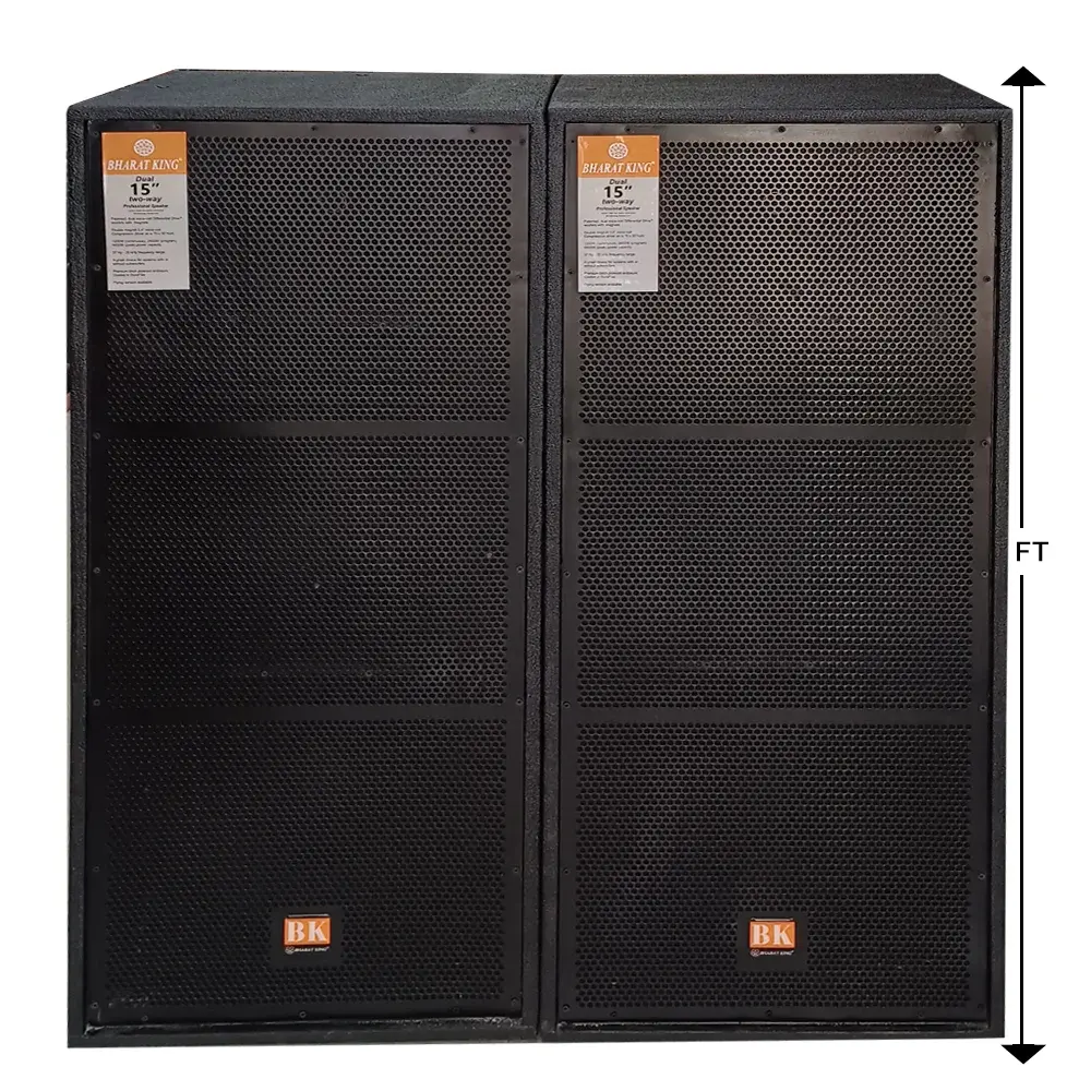 2 TOP , D/15INCH ( 500 W + 500 W )