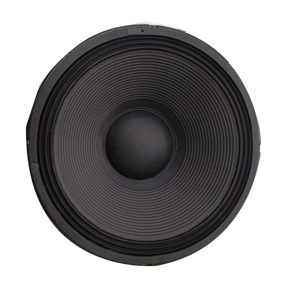18 INCH , 1200 W SPEAKER