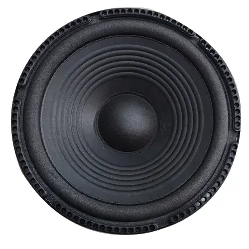 10 INCH SPEAKER