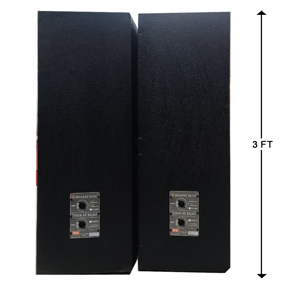 2 TOP , D/12 INCH (200 W +200 W)