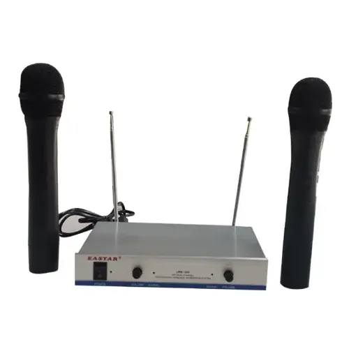 DOUBLE WIRELESS MIC