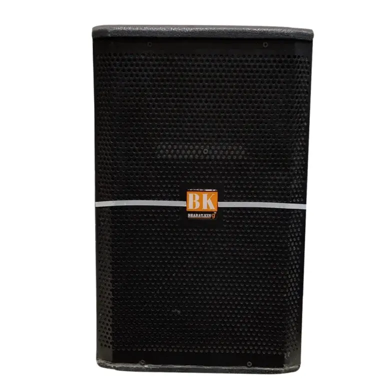 12 INCH SINGLE SPEAKER COLUMN (200 WATT)