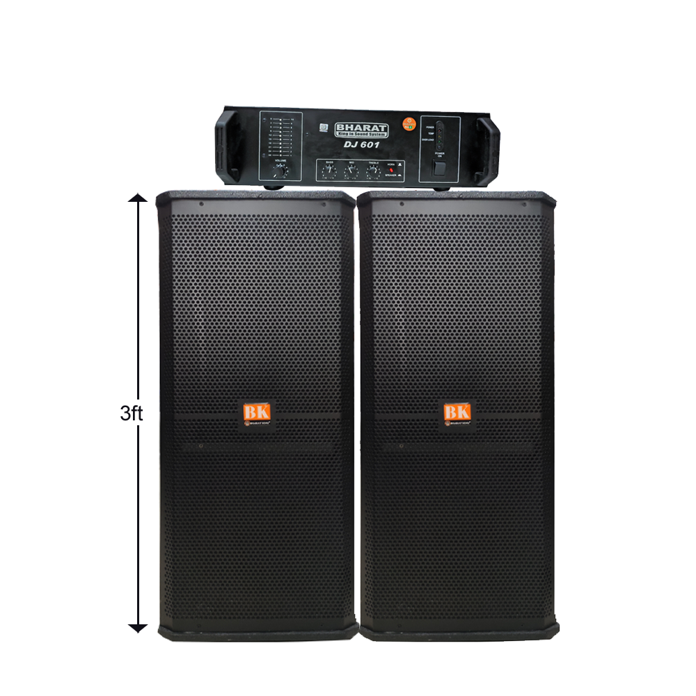 3 FT ,12 INCH DOUBLE COLUMN PAIR & 600 WATT AMPLIFIER