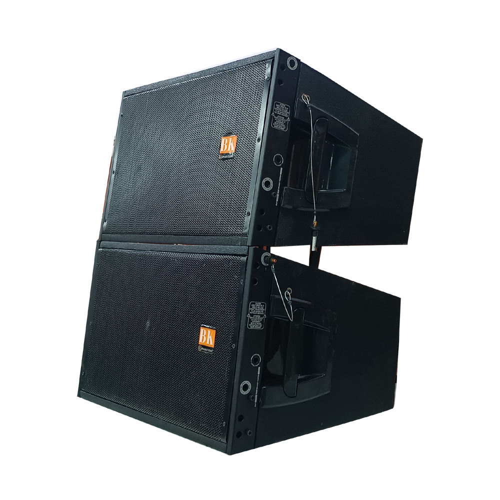 2 PIC BHARATKING PASSIVE LINE ARRAY MODULE