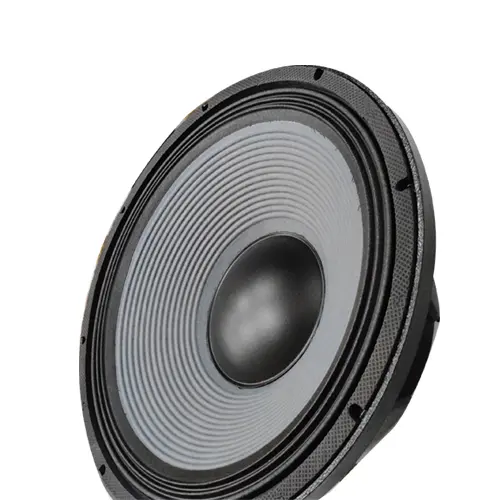 15 INCH , 800 WATT SPEAKER NEW