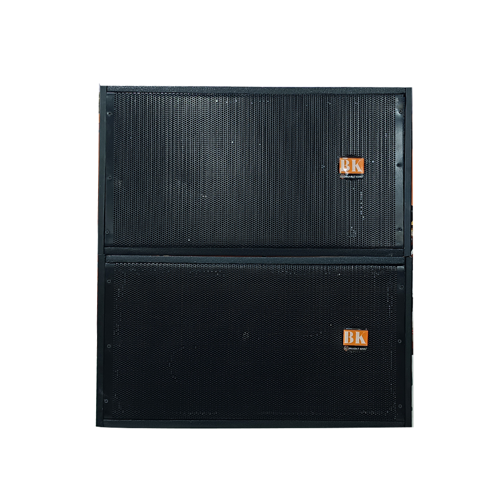 2 PIC BHARATKING PASSIVE LINE ARRAY MODULE