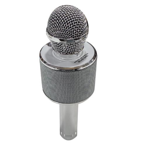 MIC WITH SPEAKER & ECO