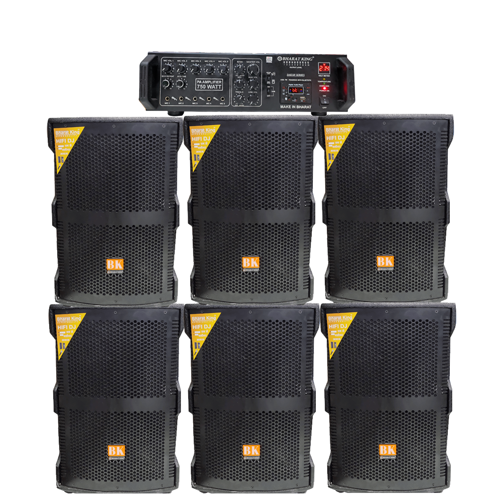 6 COLUMN & AMPLIFIER 750 WATT