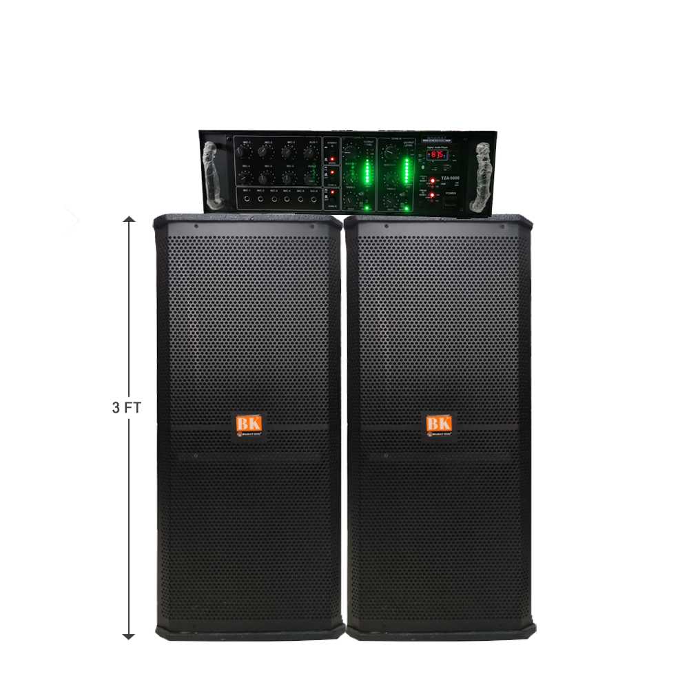 3 FT COLUMN PAIR & AMPLIFIER 500 WATT ( DOUBLE CHANNEL )