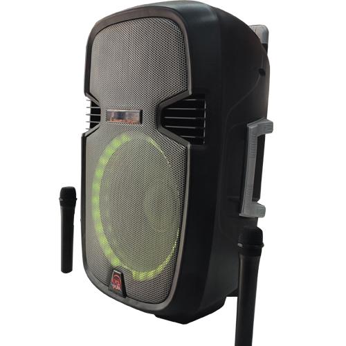 CUBE 15 INCH SPEAKER WITH HEAVY BASS