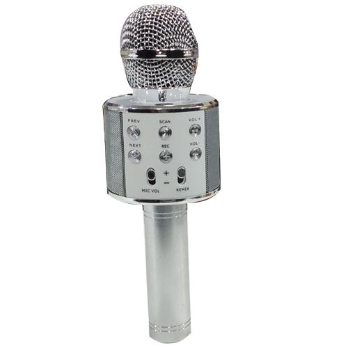 MIC WITH SPEAKER & ECO