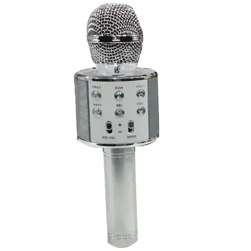 MIC WITH SPEAKER & ECO